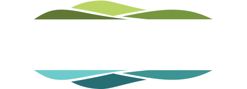 Minnesota City Logo